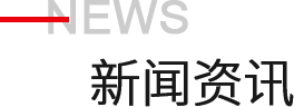 模型新闻